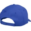 Ace Poly Cap