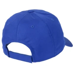 Active Poly Cap
