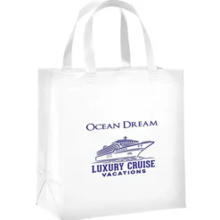 Adams Shopper Tote - 13 inches x 12 inches