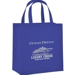 Adams Shopper Tote - 13 inches x 12 inches - 24 hr