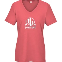 Allmade Recycled Blend V-Neck T-Shirt - Ladies'