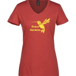 Allmade Tri-Blend V-Neck T-Shirt - Ladies'