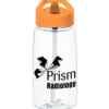 Alpine Bottle with Flip Straw Lid - 18 oz