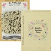 Antique Series Seed Packet - Alyssum
