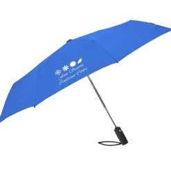 Auto Open / Close Compact Travel Umbrella - 42-inch Arc