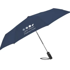 Auto Open / Close Compact Travel Umbrella - 42-inch Arc