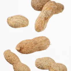 Ballpark Peanuts - 3 oz - Clear Bag