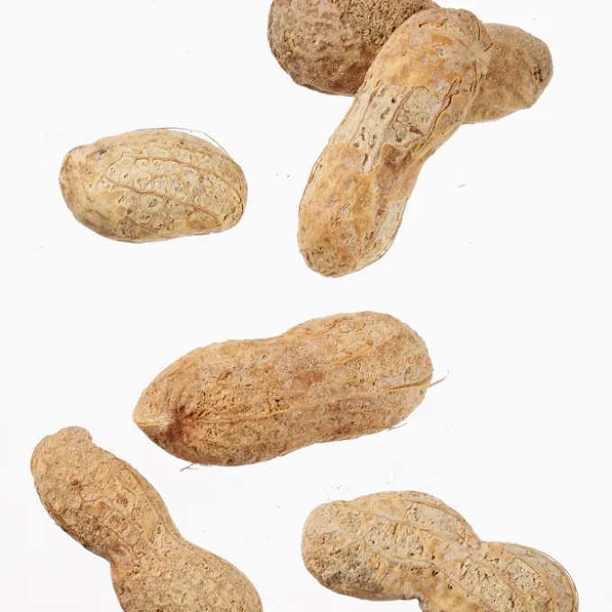 Ballpark Peanuts - 3 oz - Clear Bag