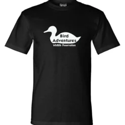 Bayside T-Shirt - Colors