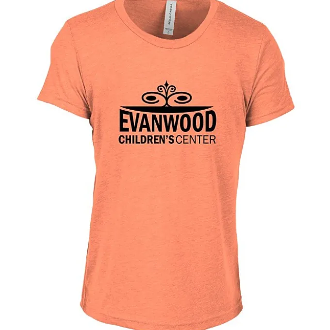 Bella+Canvas Tri-Blend T-Shirt - Youth