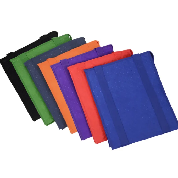 Big Sur Insulated Grocery Tote - 24 hr