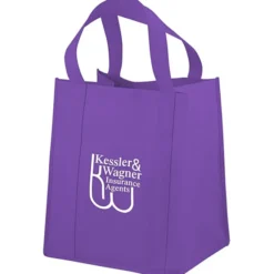 Big Thunder Tote - 15 inches x 13 inches