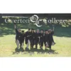 Billboard Magnet - 30 mil - 3 inches x 5 inches - Round Corners