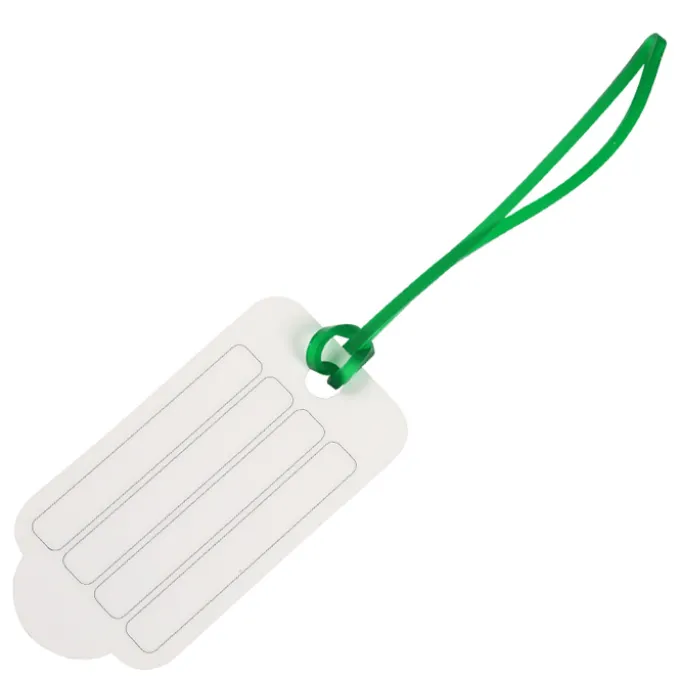Bon Voyage Luggage Tag - Plane
