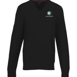 Brooks Brothers Washable Merino V-Neck Sweater - Men's