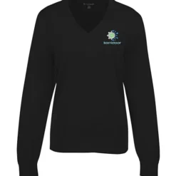 Brooks Brothers Washable Merino V-Neck Sweater - Ladies'