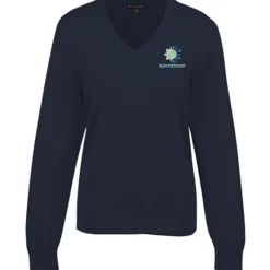 Brooks Brothers Washable Merino V-Neck Sweater - Ladies'