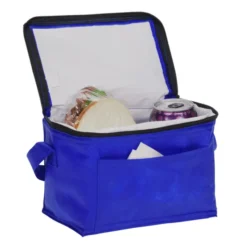 Bruno Non-Woven Lunch Cooler