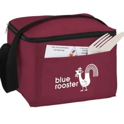 Budget Kooler Bag - 24 hr