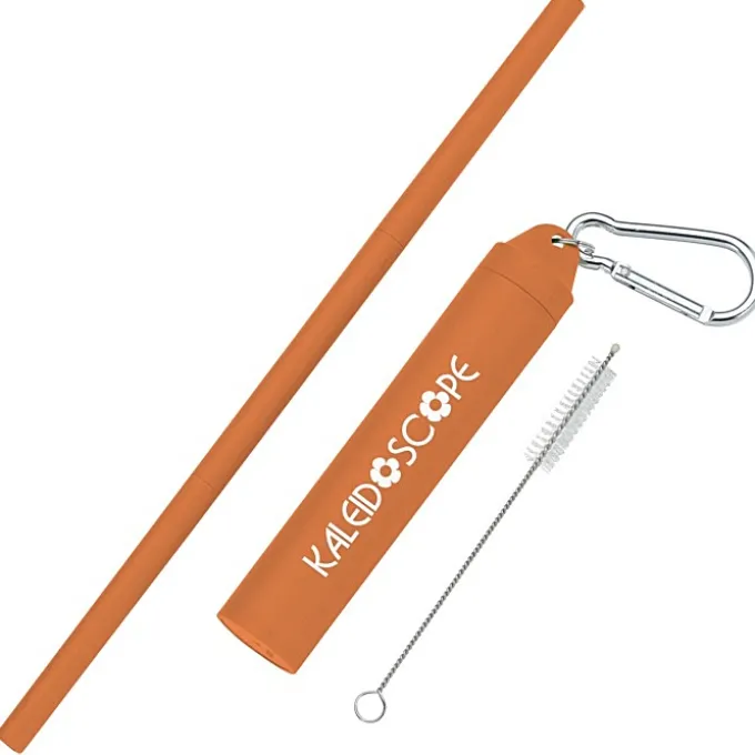 Buildable Plastic Straw Set - 24 hr