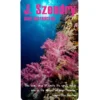 Business Card Magnet - 30 mil - Round Corners - 24 hr