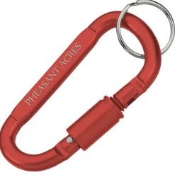 Carabiner Lock Keychain