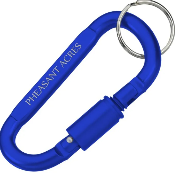 Carabiner Lock Keychain