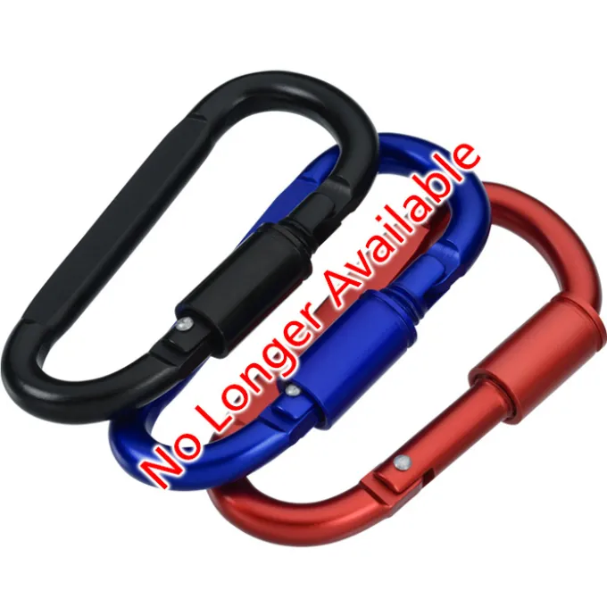 Carabiner Lock Keychain