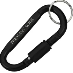 Carabiner Lock Keychain