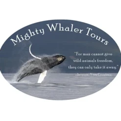 Car Magnet - Oval - 3-1/2 inches x 5 inches