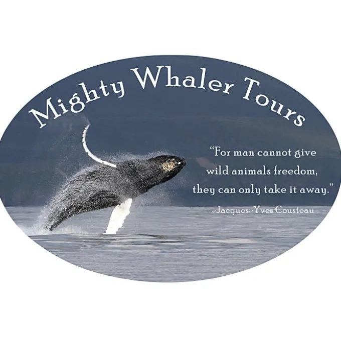 Car Magnet - Oval - 3-1/2 inches x 5 inches