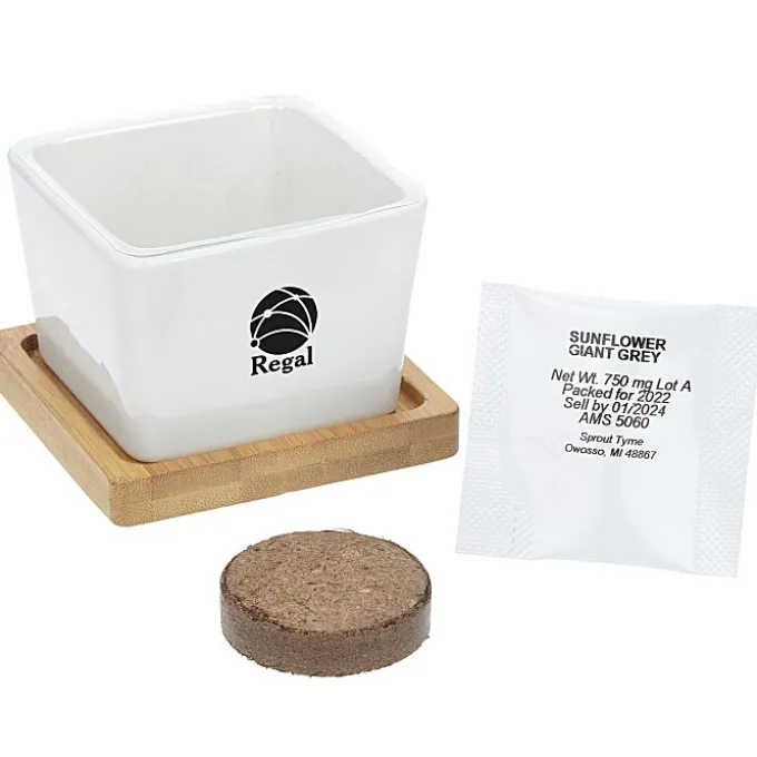 Ceramic Square Planter Set