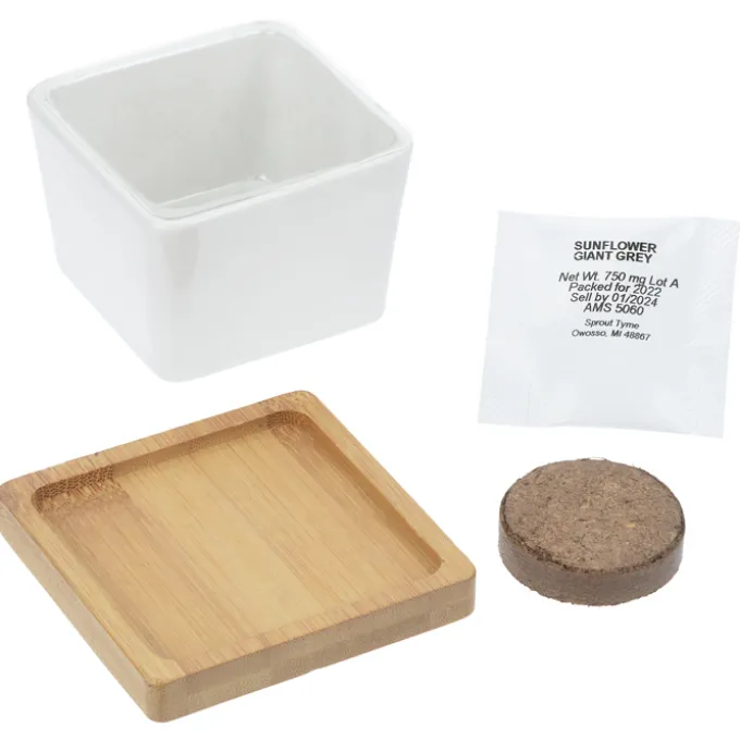 Ceramic Square Planter Set