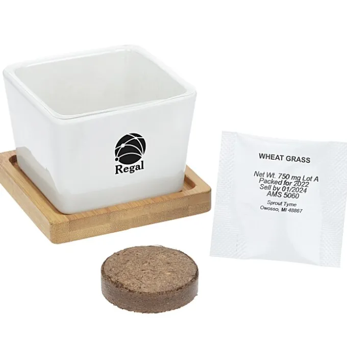 Ceramic Square Planter Set