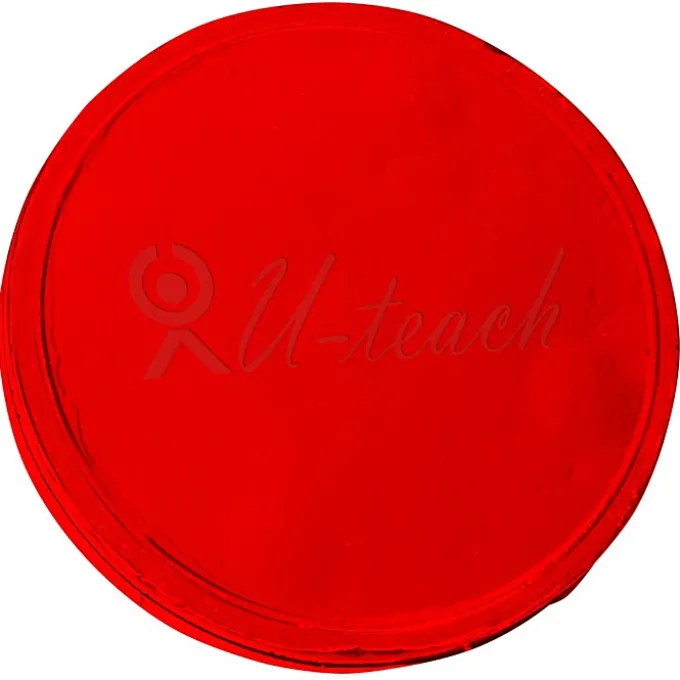 Chocolate Coin - .25 oz - 24 hr
