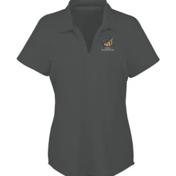 Civic Stretch Polo - Ladies'