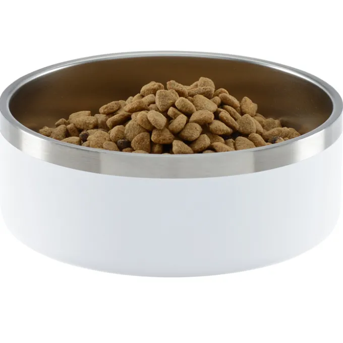 Color Accent Stainless Steel Pet Bowl