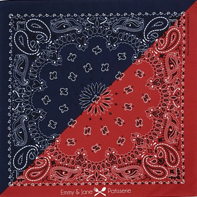 Colorblock Paisley Bandana - 22 inches x 22 inches