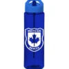 Colorful Bottle with Flip Straw Lid - 24 oz