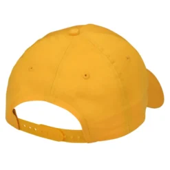 Composite Cap