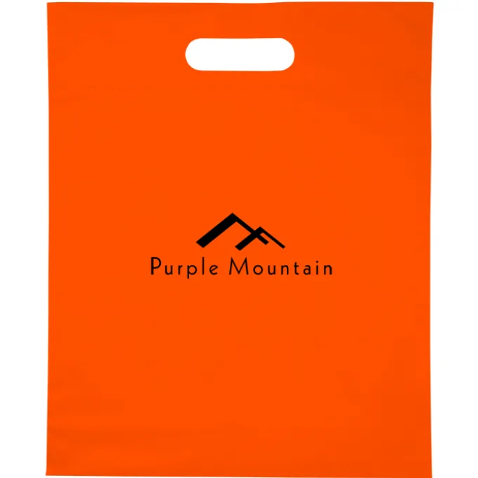 Convention Bag with Reinforced Handles - 15 inches x 12 inches