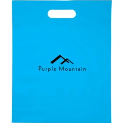 Convention Bag with Reinforced Handles - 15 inches x 12 inches