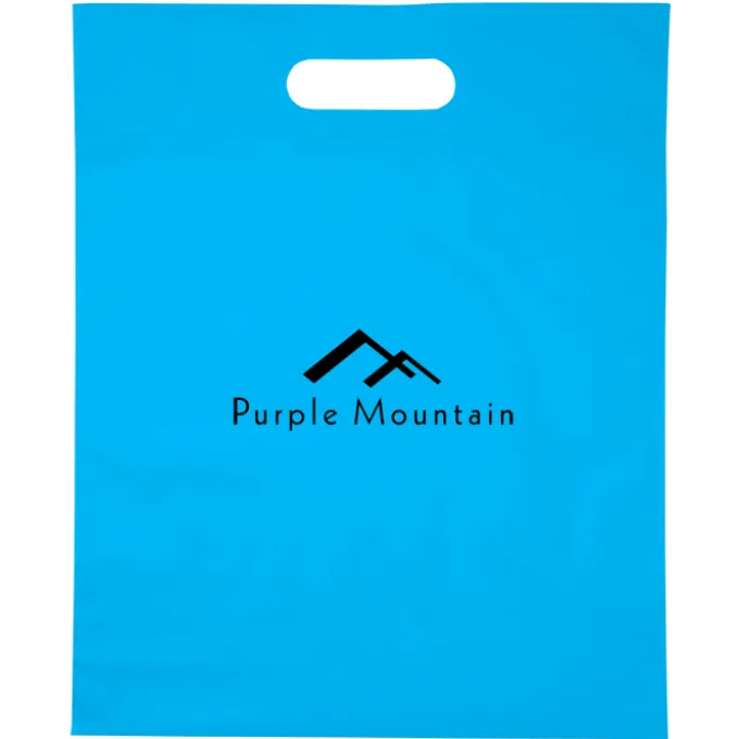 Convention Bag with Reinforced Handles - 15 inches x 12 inches