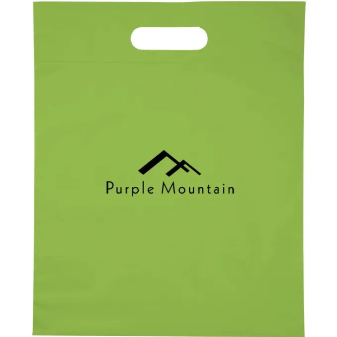 Convention Bag with Reinforced Handles - 15 inches x 12 inches