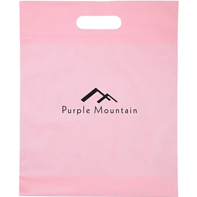 Convention Bag with Reinforced Handles - 15 inches x 12 inches