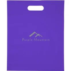 Convention Bag with Reinforced Handles - 15 inches x 12 inches