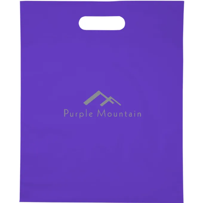 Convention Bag with Reinforced Handles - 15 inches x 12 inches