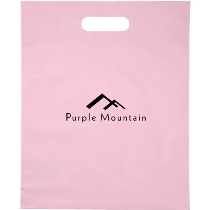 Convention Bag with Reinforced Handles - 15 inches x 12 inches