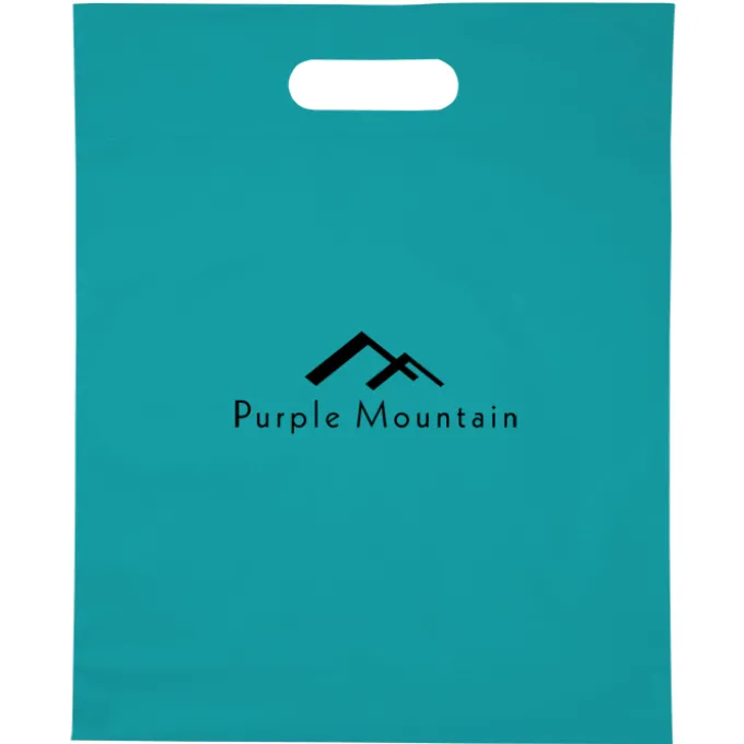 Convention Bag with Reinforced Handles - 15 inches x 12 inches