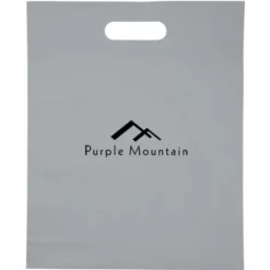 Convention Bag with Reinforced Handles - 15 inches x 12 inches